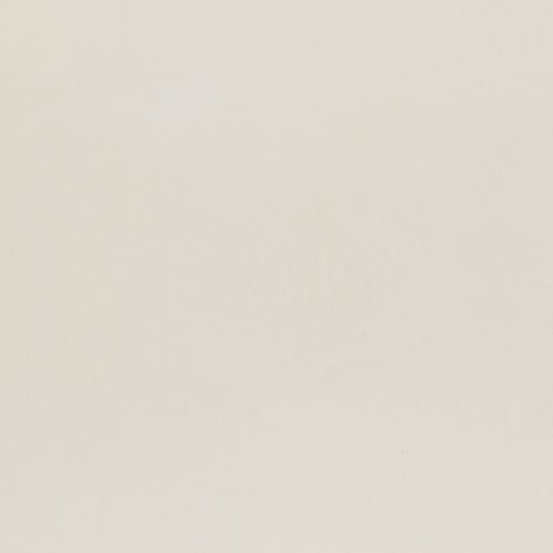 Mineral Venetian Plaster | Palace White