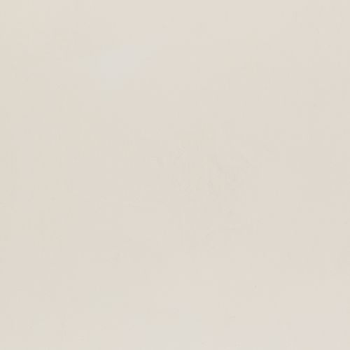 Polished Plaster | Palace White