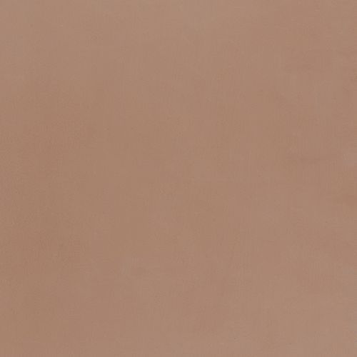 Polished Plaster | Corinthian Clay