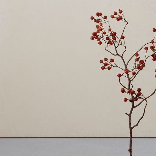 Polished Plaster | Palace White
