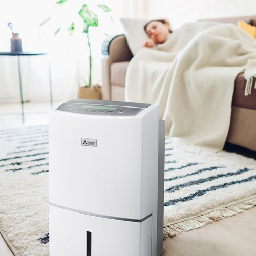 Oasis Pure 38L Dehumidifier