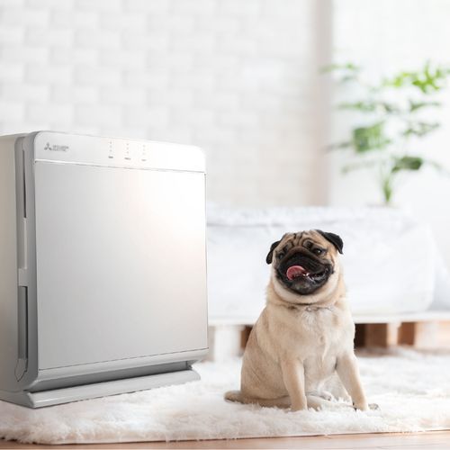 ElitePure Air Purifier