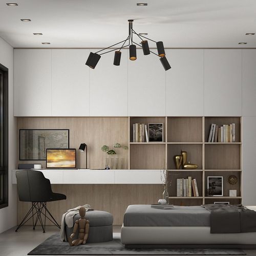 LIGHT Study Unit