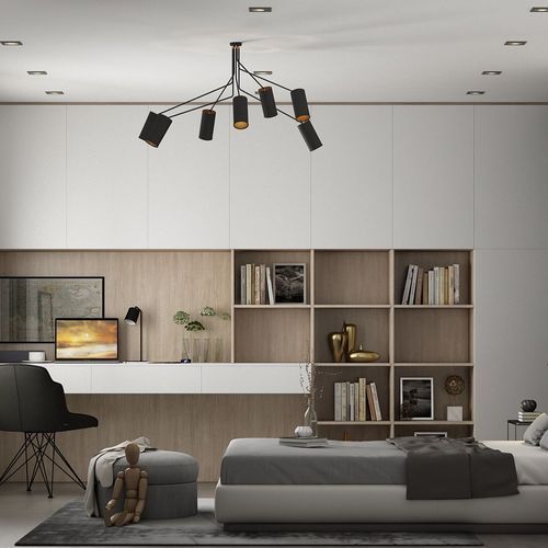 LIGHT Study Unit