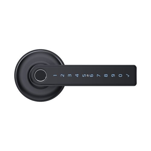 Schlage Ascent Series Smart Lever