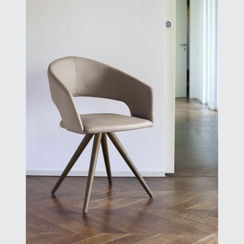 Arena Dining Chair