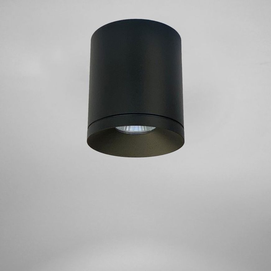 Arcadia Downlight