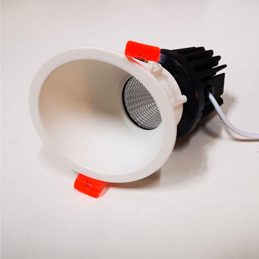 Round Asymmetrical Downlight