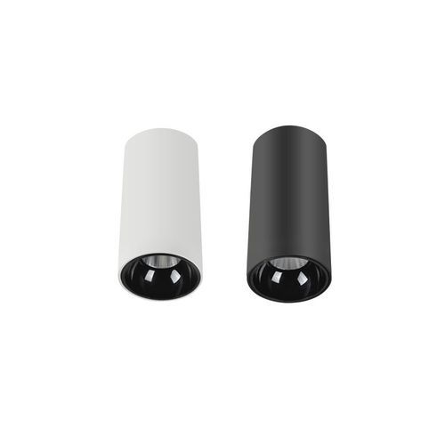 Exterior IP65 Surface Mounted Downlight