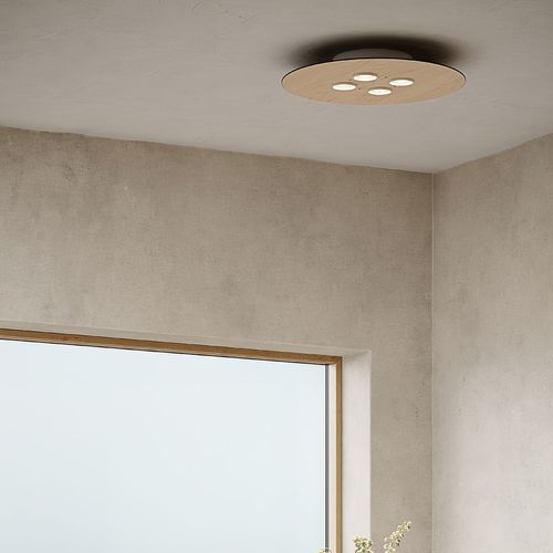 Equal 4-Round Ceiling Light