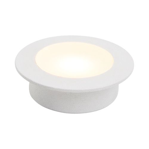 Nocturnal Weebil Downlight