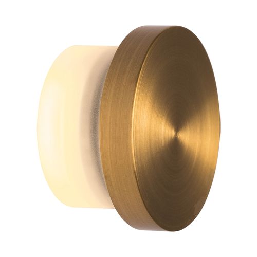 Nocturnal Puck Wall Light