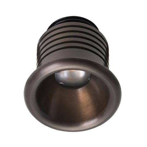 Nocturnal Shooting Star Downlight