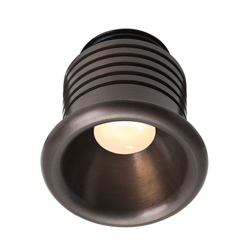 Nocturnal Shooting Star Downlight