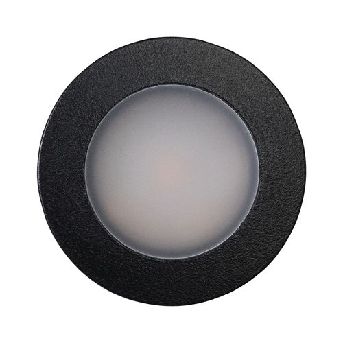 Nocturnal Weebil Downlight