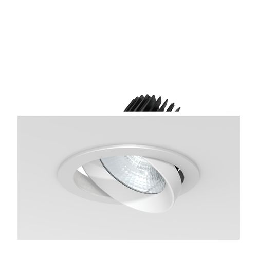 Round Tilt Recessed Downlight