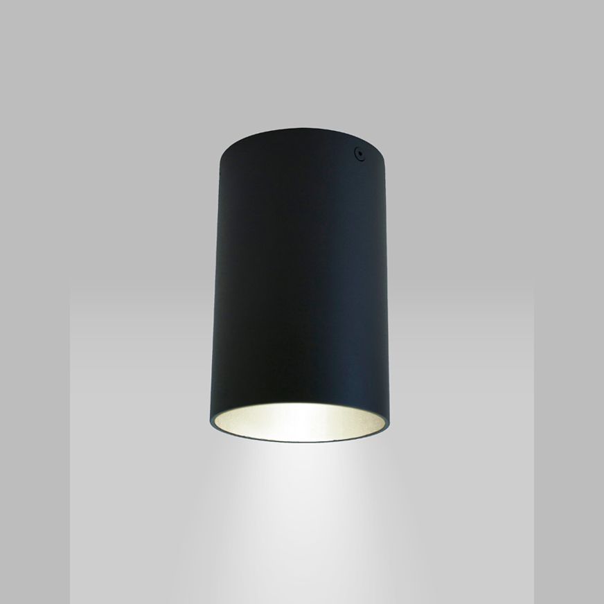 Beama Surface Eye Downlight