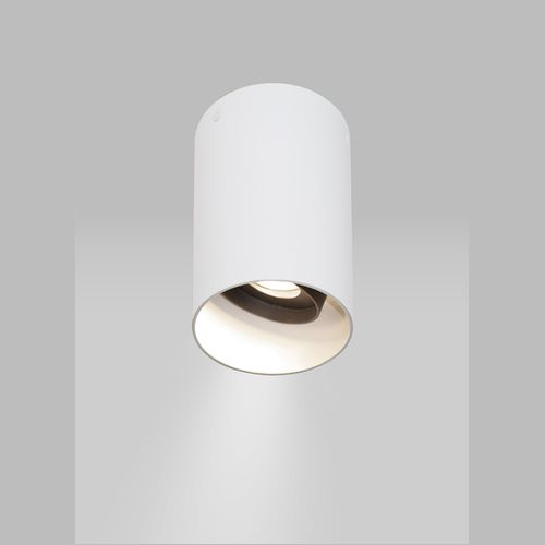 Beama Surface Eye Adjustable Downlight