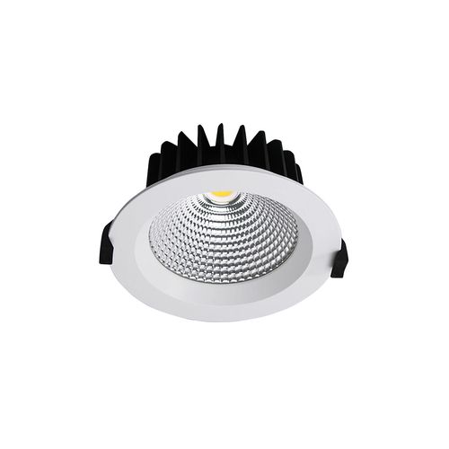 RAKINO DL229WH-4K Downlight
