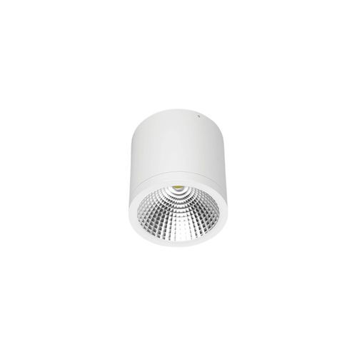 PUKEKOHE DL37 Outdoor Ceiling Light