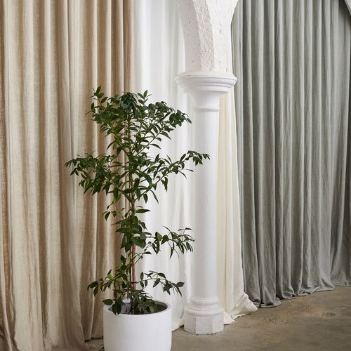 Linesta by Warwick | Drapery