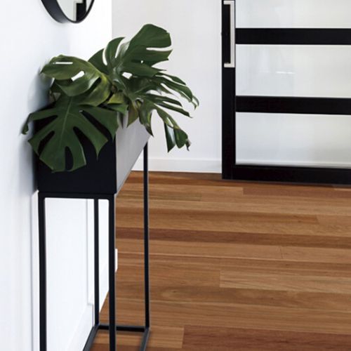 Brush Box | Australian Native Engineered Timber Flooring