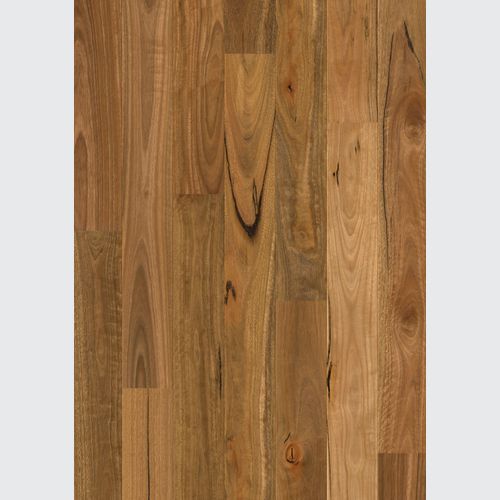 Quick-Step Amato Spotted Gum Timber Flooring
