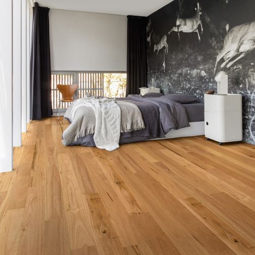 Quick-Step Amato Blackbutt Flooring Timber Flooring