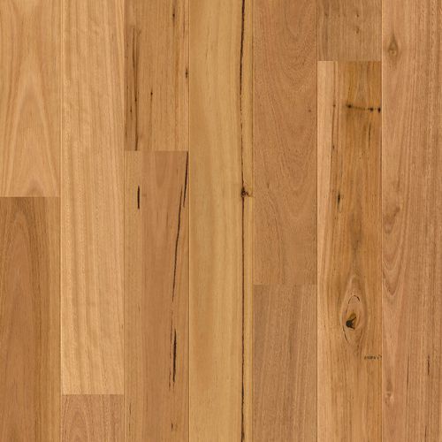 Quick-Step Amato Blackbutt Flooring Timber Flooring