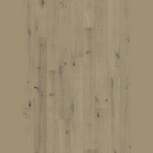 Oak Calm