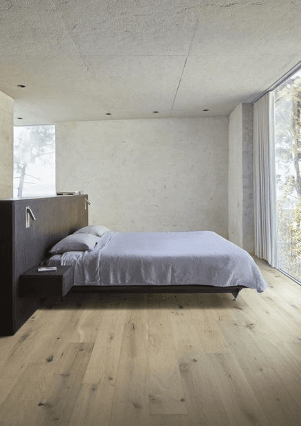 Oak Calm