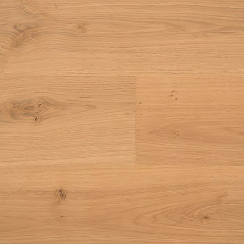 HW2130 Allevard