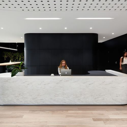 HW16404C Alabastro Plank Character Grade