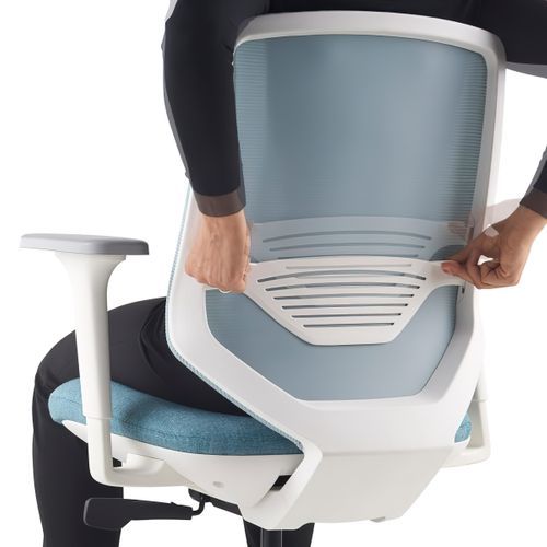 Express 2 Mesh Posh by Herman Miller