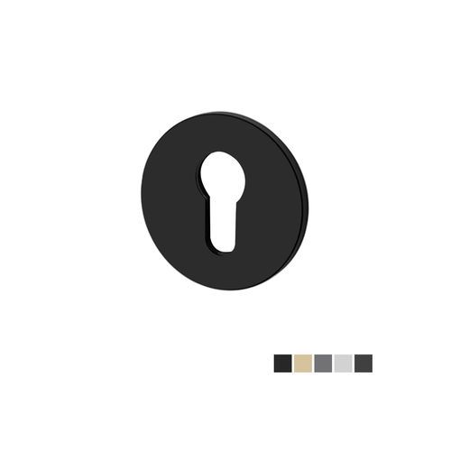 Buster and Punch Escutcheon Plate Euro Profile