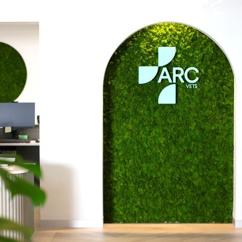 Reindeer Moss Panels | Hire Plants