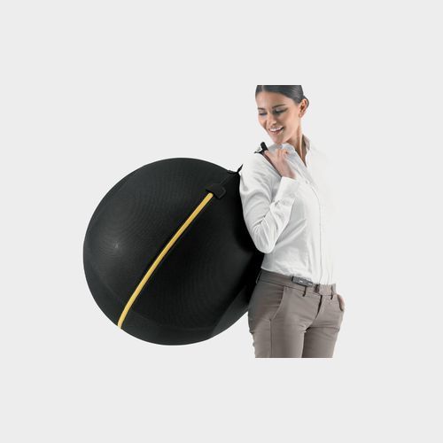 Wellness Ball Active Sitting | Exercise Ball 