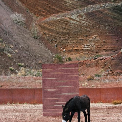 Colorado