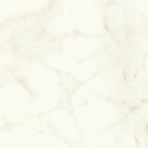 Calacatta Delicato Polish | Tile Space