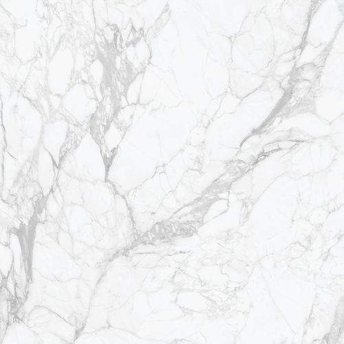 Bianco Venatino