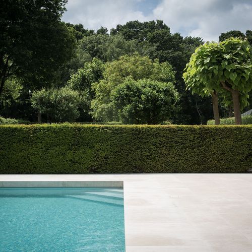 Chambolle Naturelle
 Limestone Tiles