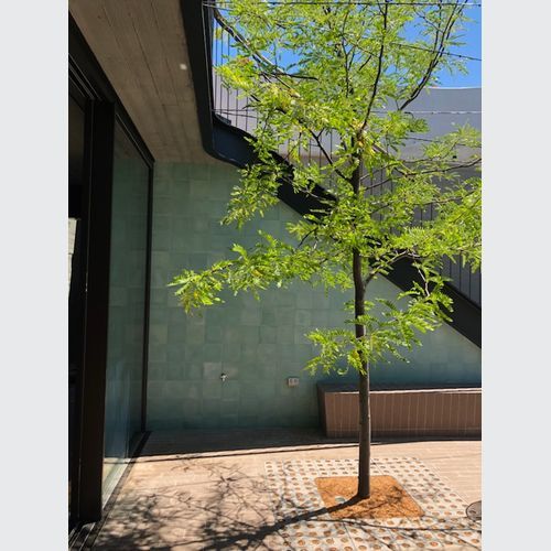 Eco Outdoor  Hand Pressed Cement Tiles