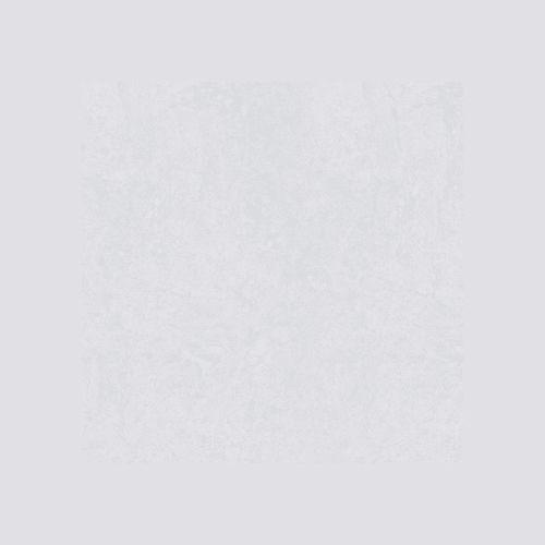 Wild Gloss 500x500