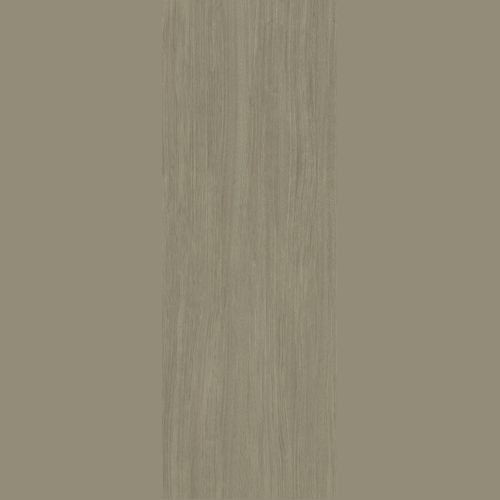 Norway Oak