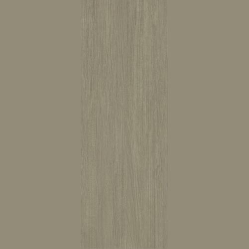 Norway Oak