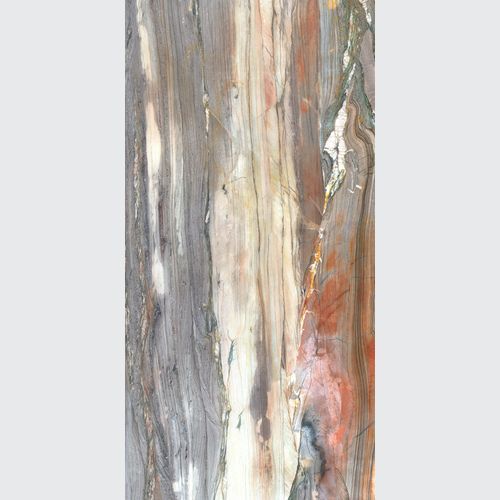 Petrified Wood