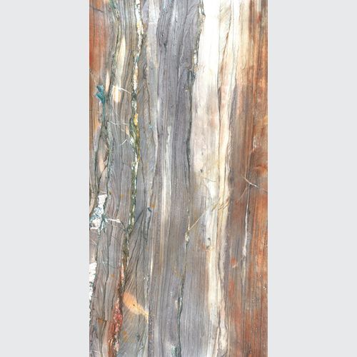 Petrified Wood
