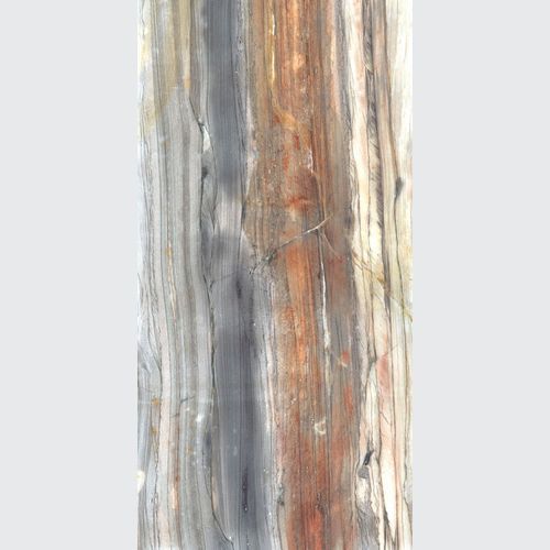 Petrified Wood
