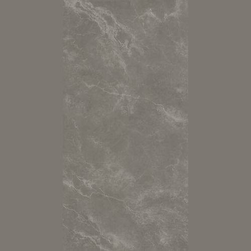 Plato Grey