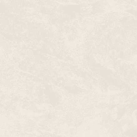 Colin Ivory Matt 600x600x10